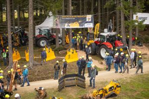  c  bernhard bergmann