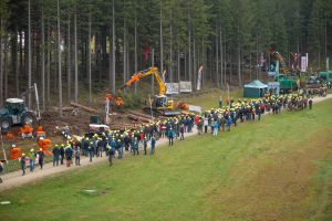  c  bernhard bergmann