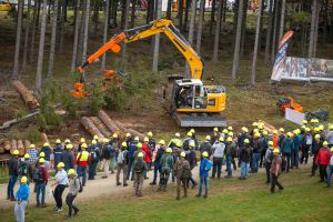  c  bernhard bergmann