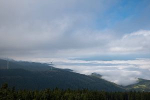  c  bernhard bergmann