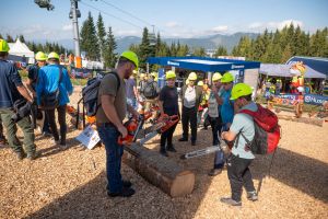  c  bernhard bergmann