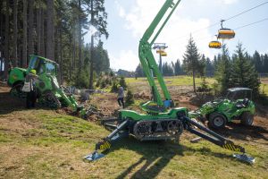  c  bernhard bergmann