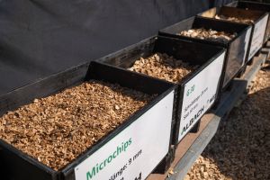  c  bernhard bergmann