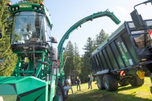  c  bernhard bergmann