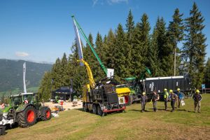  c  bernhard bergmann