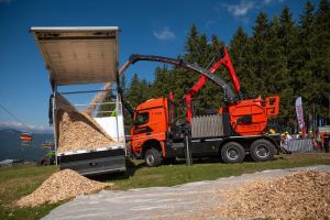  c  bernhard bergmann