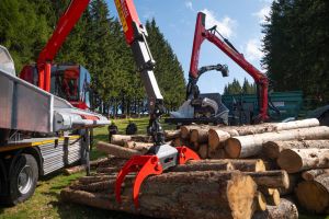  c  bernhard bergmann