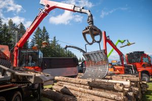  c  bernhard bergmann