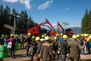  c  bernhard bergmann