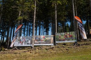  c  bernhard bergmann