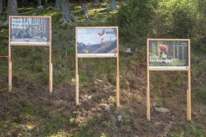  c  bernhard bergmann