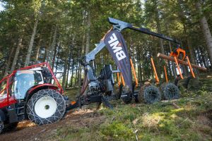  c  bernhard bergmann