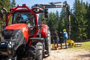  c  bernhard bergmann