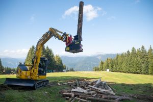  c  bernhard bergmann