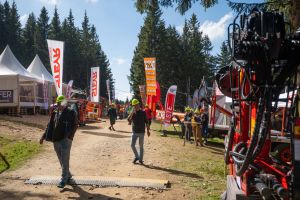  c  bernhard bergmann