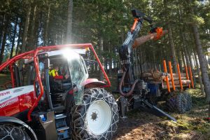  c  bernhard bergmann