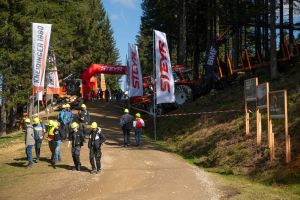  c  bernhard bergmann