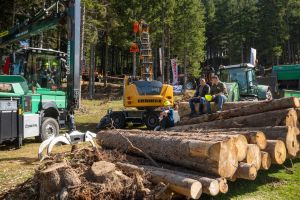  c  bernhard bergmann