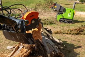  c  bernhard bergmann