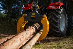  c  bernhard bergmann