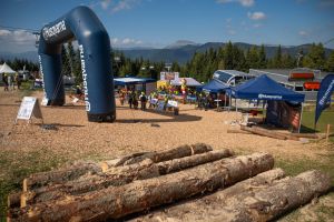  c  bernhard bergmann