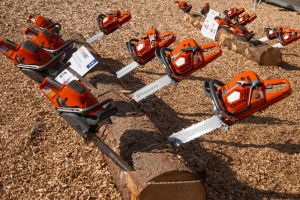  c  bernhard bergmann