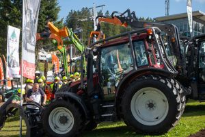  c  bernhard bergmann