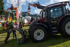  c  bernhard bergmann