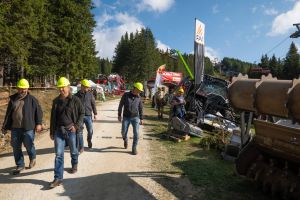  c  bernhard bergmann