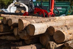  c  bernhard bergmann