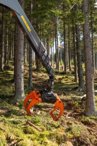  c  bernhard bergmann