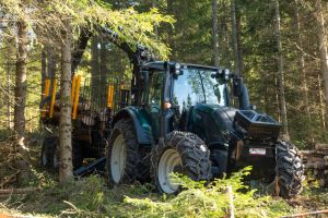  c  bernhard bergmann