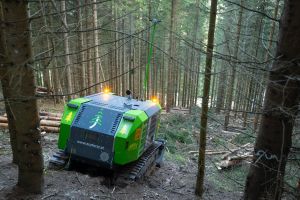  c  bernhard bergmann