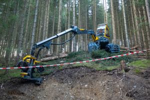  c  bernhard bergmann