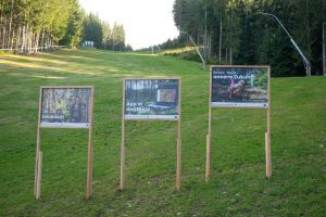  c  bernhard bergmann