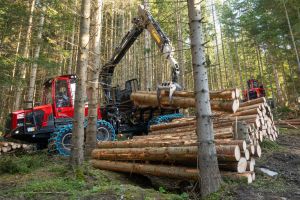  c  bernhard bergmann