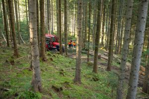  c  bernhard bergmann