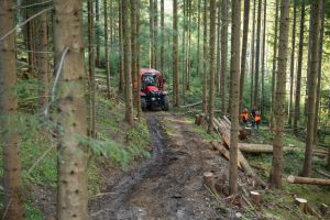  c  bernhard bergmann