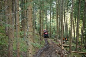  c  bernhard bergmann