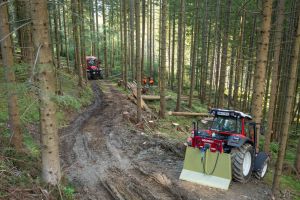  c  bernhard bergmann