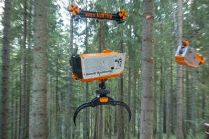  c  bernhard bergmann