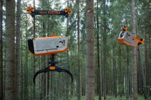  c  bernhard bergmann