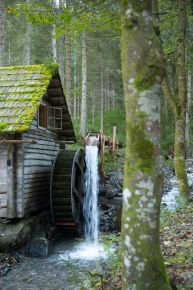  c  bernhard bergmann