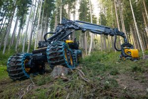  c  bernhard bergmann